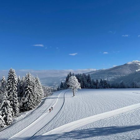 الشقق الفندقية رامساو أم داتشستينفي  Burglehnerhof المظهر الخارجي الصورة
