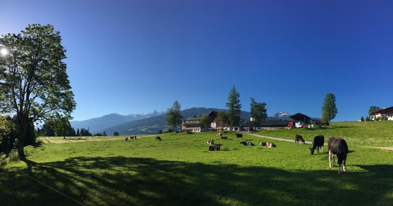 الشقق الفندقية رامساو أم داتشستينفي  Burglehnerhof المظهر الخارجي الصورة