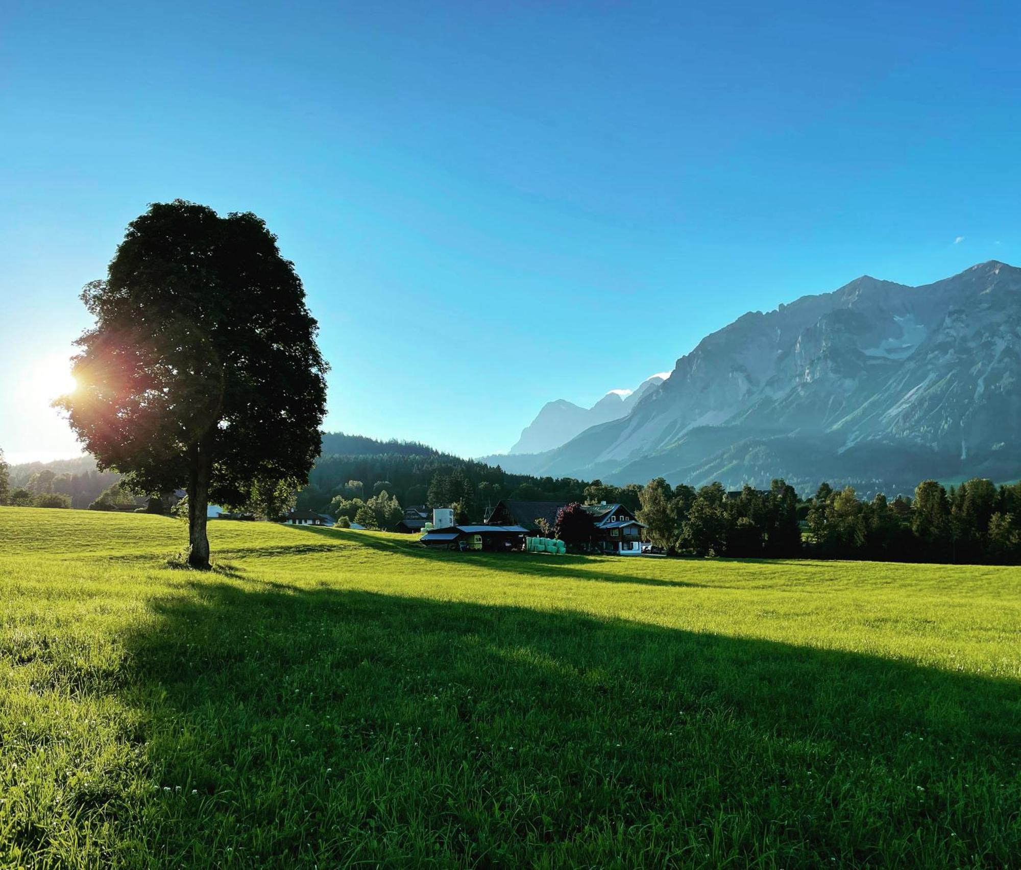 الشقق الفندقية رامساو أم داتشستينفي  Burglehnerhof المظهر الخارجي الصورة